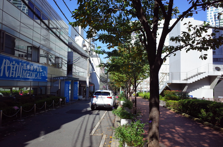 a0287336_2310456.jpg