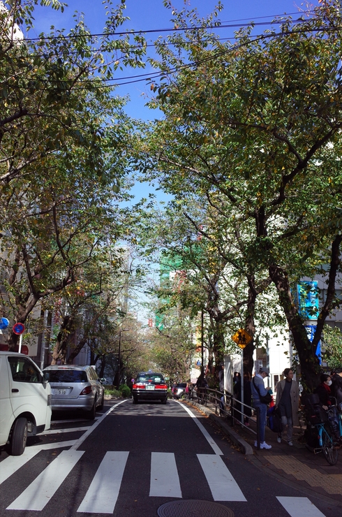 a0287336_23194125.jpg