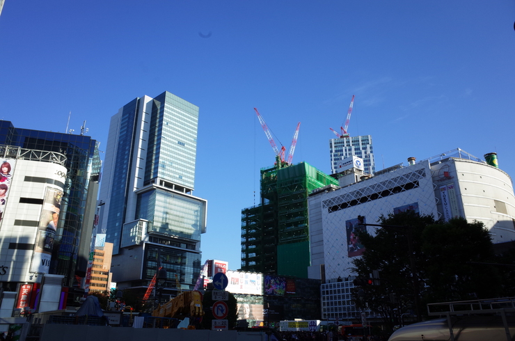 a0287336_2324365.jpg