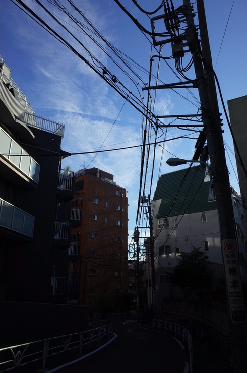 a0287336_2384744.jpg