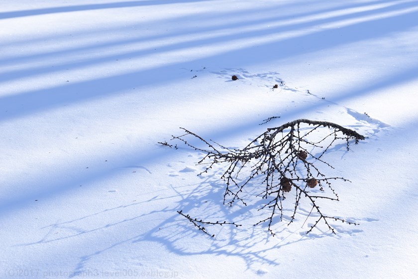 奥日光 日光市道1002号 雪_e0362037_21021021.jpg