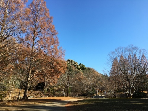 b0330040_14574647.jpeg