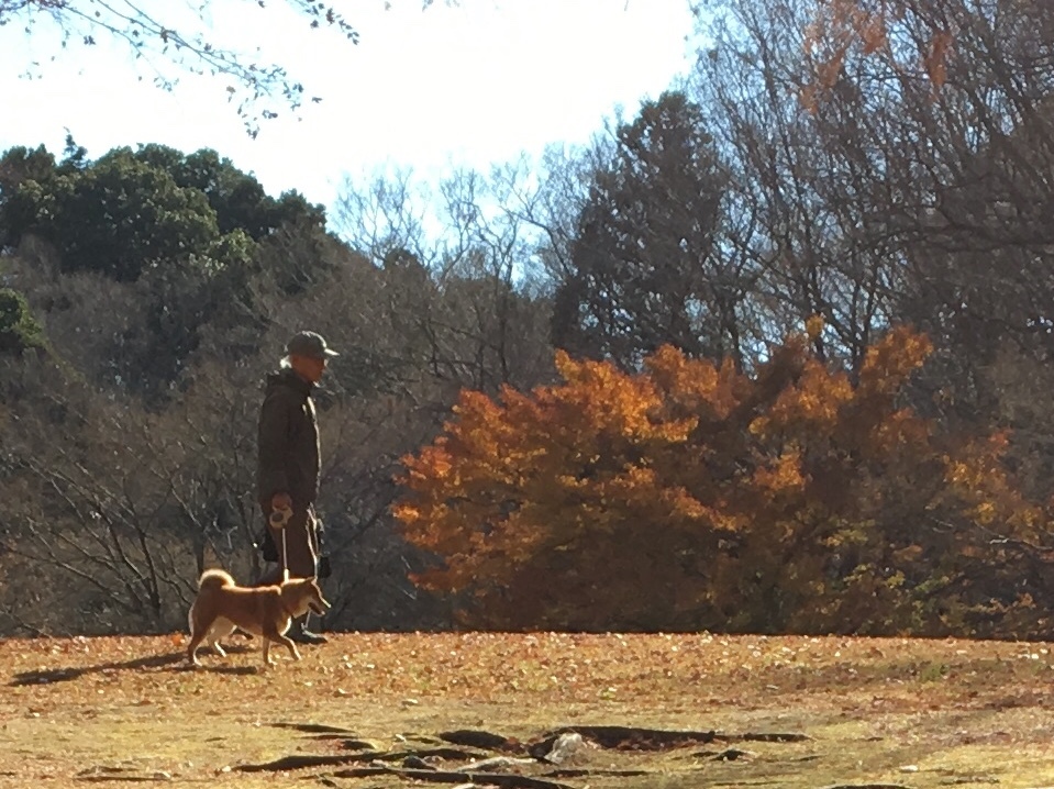 b0330040_15012912.jpeg