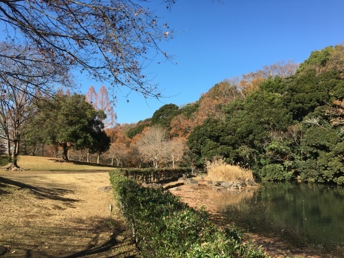 b0330040_15022465.jpeg