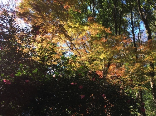 b0330040_15031418.jpeg