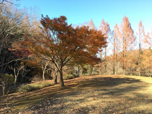 b0330040_20132832.jpeg