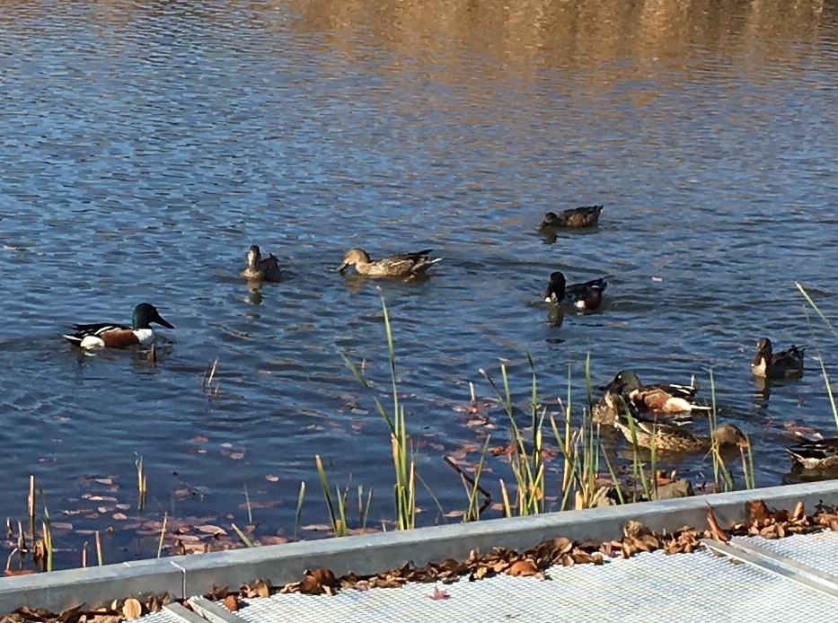 b0330040_20255265.jpeg