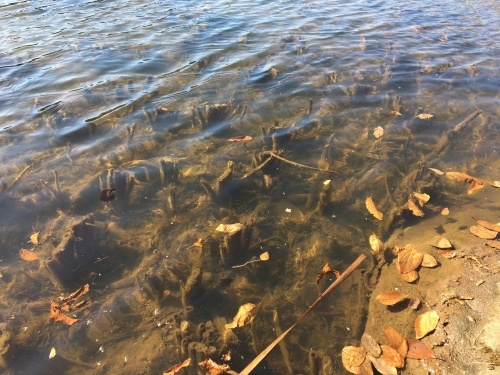 b0330040_20291203.jpeg