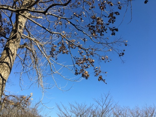 b0330040_20371857.jpeg