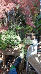 b0090243_05647.jpg