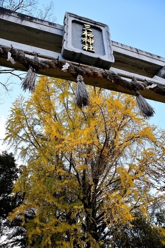 京の都巡り④ 三栖神社_b0314043_07471632.jpg