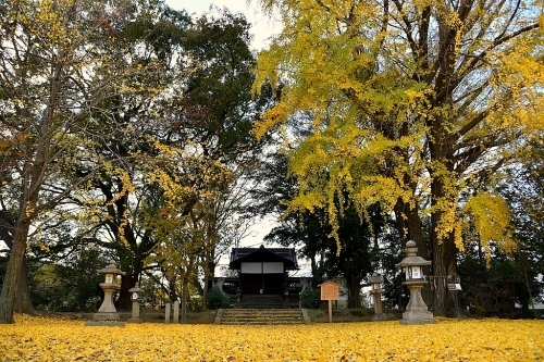 京の都巡り④ 三栖神社_b0314043_07481323.jpg