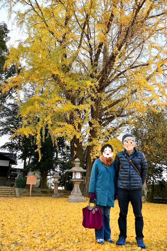 京の都巡り④ 三栖神社_b0314043_08001242.png