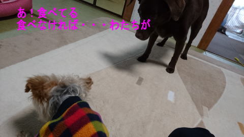 d0013645_17565608.jpg