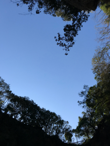 e0127746_10440512.jpg