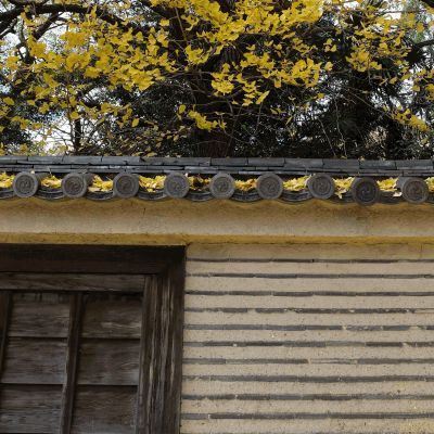 鴨川正面橋界隈（続々）／渉成園_b0355451_17513541.jpg