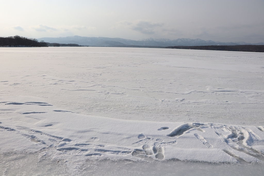 12月10日　湖畔を　続き_b0250154_19493689.jpg