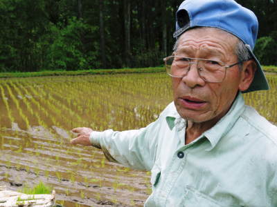 熊本の美味しいお米（七城米、菊池水源棚田米、無農薬砂田のれんげ米）大好評発売中！こだわり紹介　その2_a0254656_18341466.jpg