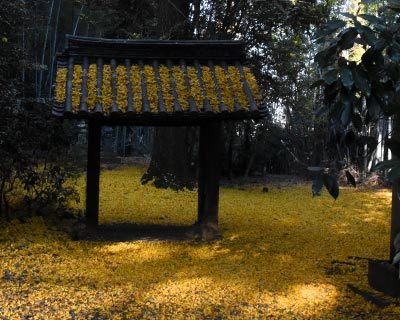 京都府　天王山山麓散策_e0035757_00552262.jpg