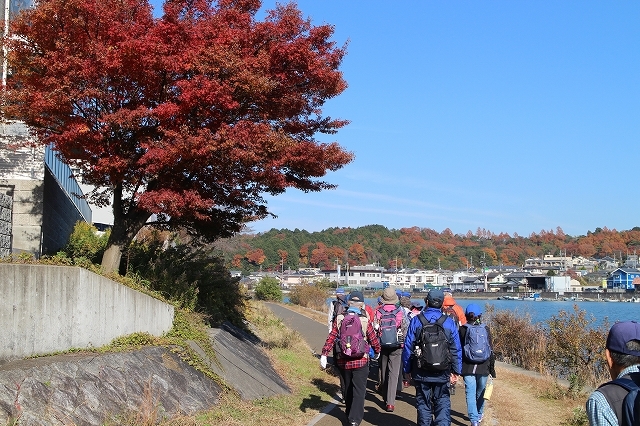 初冬の瀬田川洗堰ウオーク_b0044663_23454996.jpg