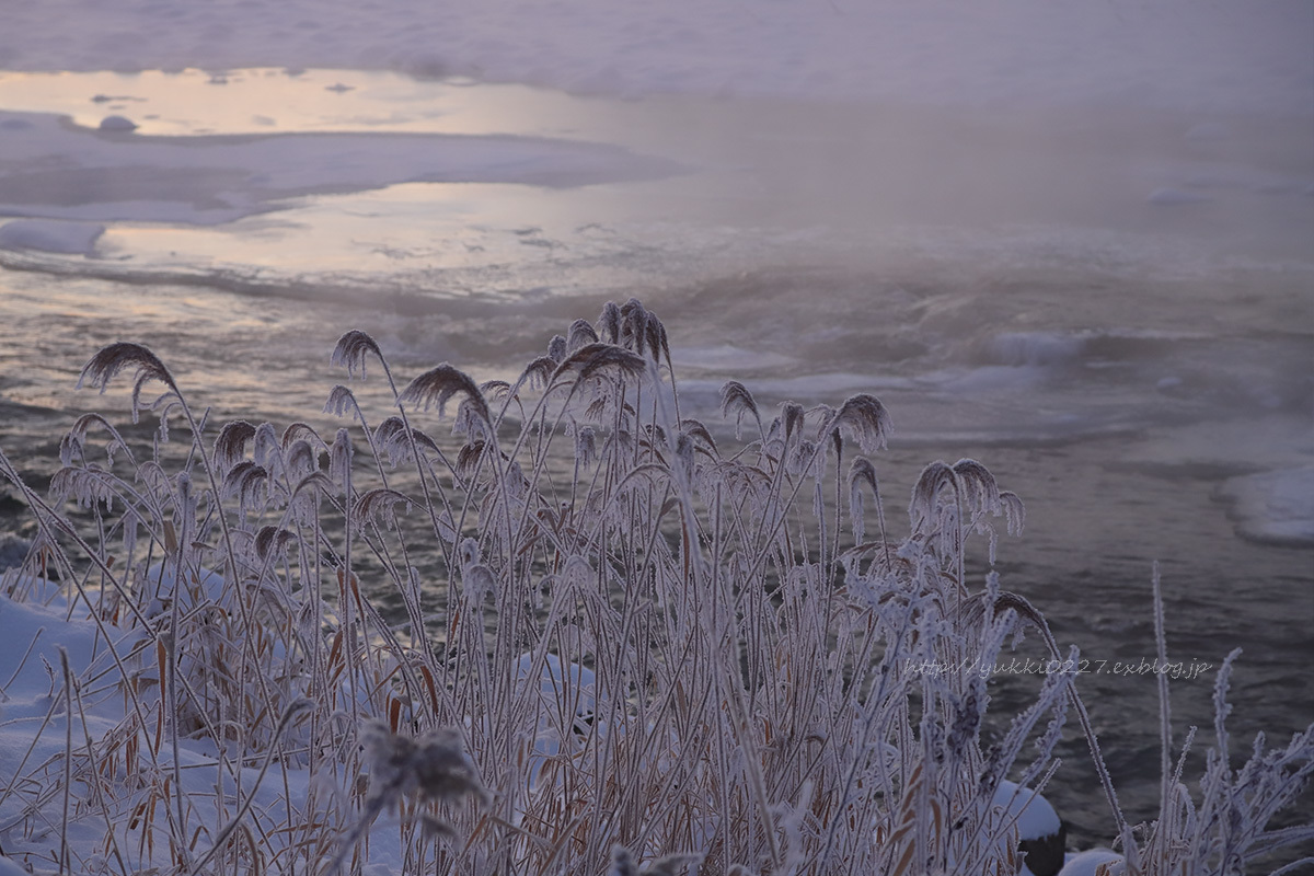 -19.2℃の朝散歩　2017.12.10_f0054366_11114353.jpg