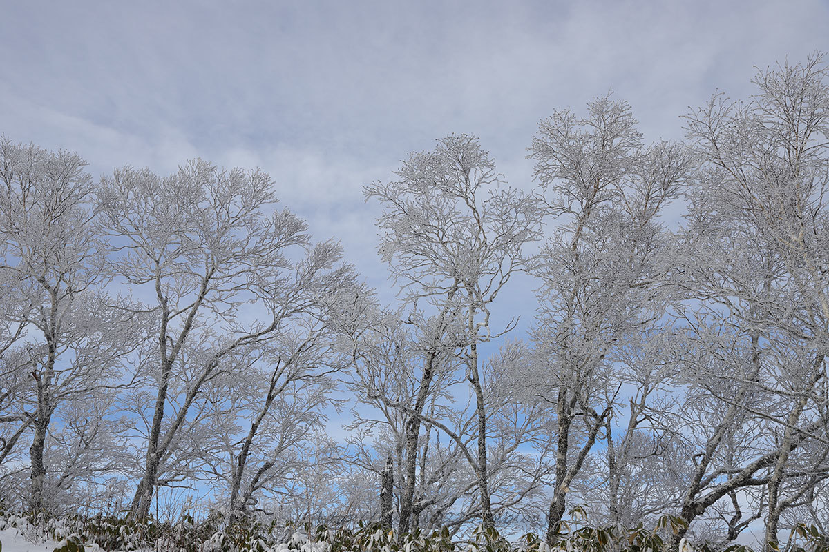 f0054366_11182636.jpg