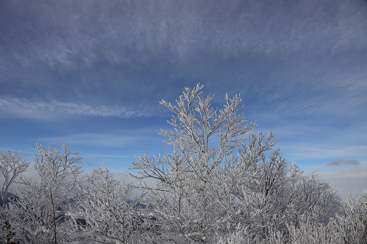 f0054366_11182765.jpg