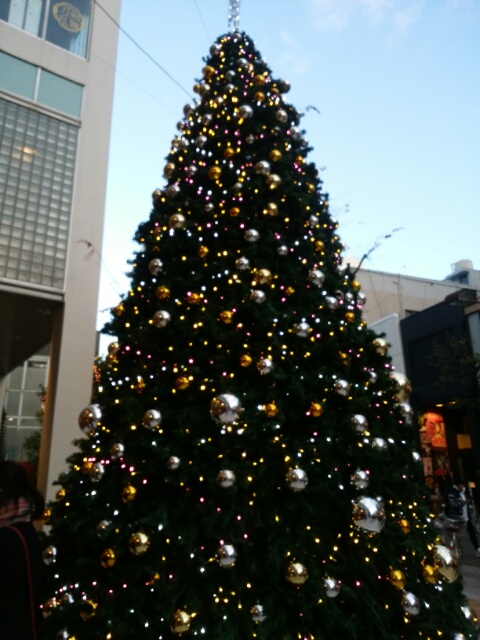 f0200871_23233322.jpg
