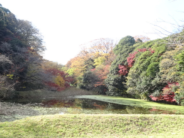 c0334773_19264308.jpg