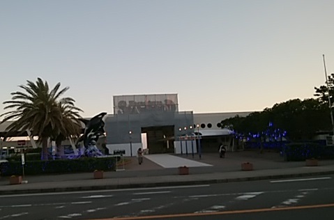 b0260581_16391586.jpg