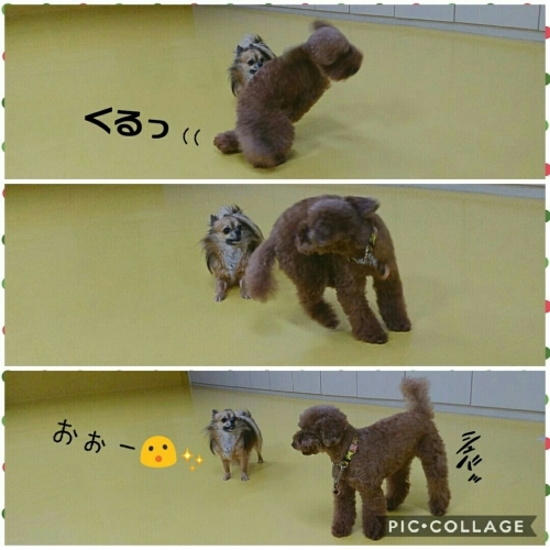 友達もカメラも♥_f0357682_00260819.jpg