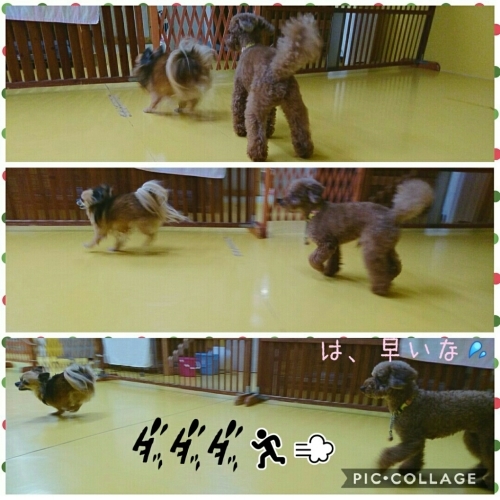 友達もカメラも♥_f0357682_00261472.jpg