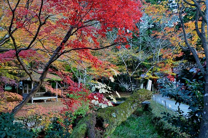 c0229483_0291635.jpg