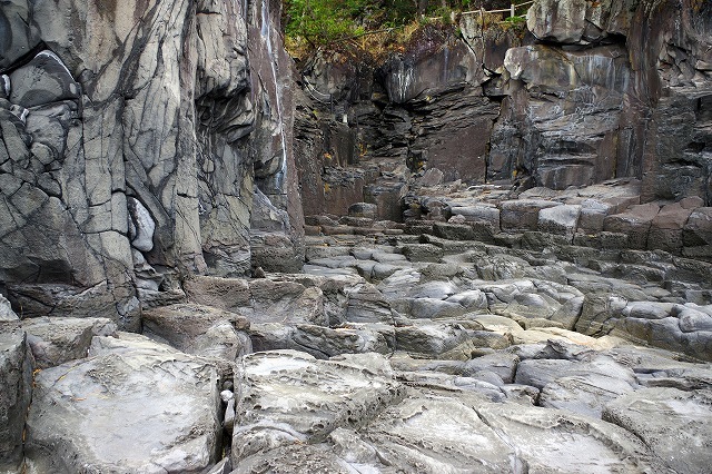 c0324983_00210017.jpg