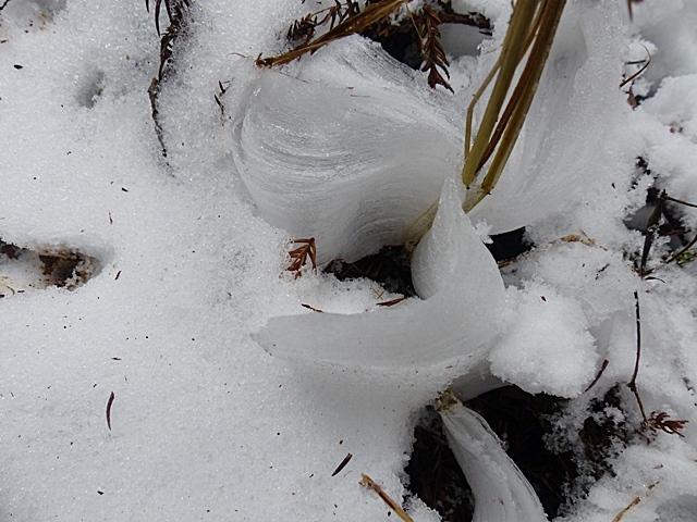 f0357487_11521845.jpg