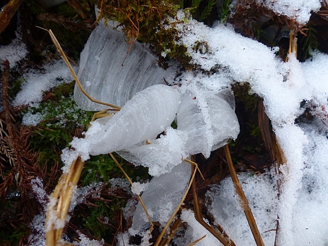 f0357487_11531448.jpg