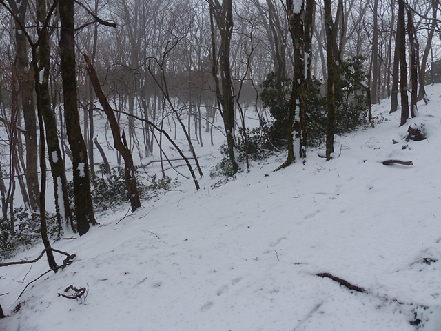 f0357487_12224303.jpg