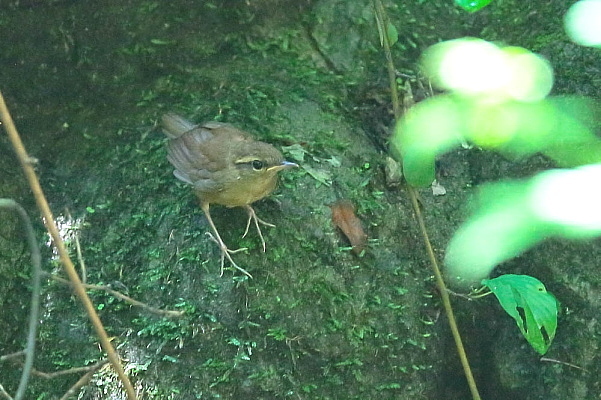 d0334291_16445548.jpg