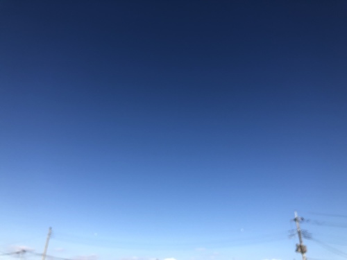 f0215094_20020461.jpeg
