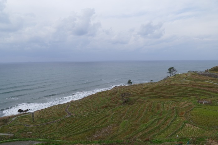 f0227396_17023745.jpg