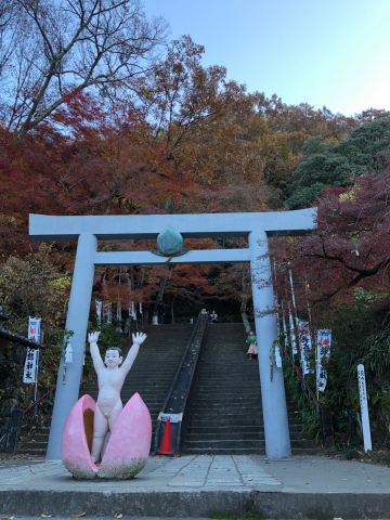 犬山市「桃太郎神社」「大聖寺」_c0313998_18130142.jpg