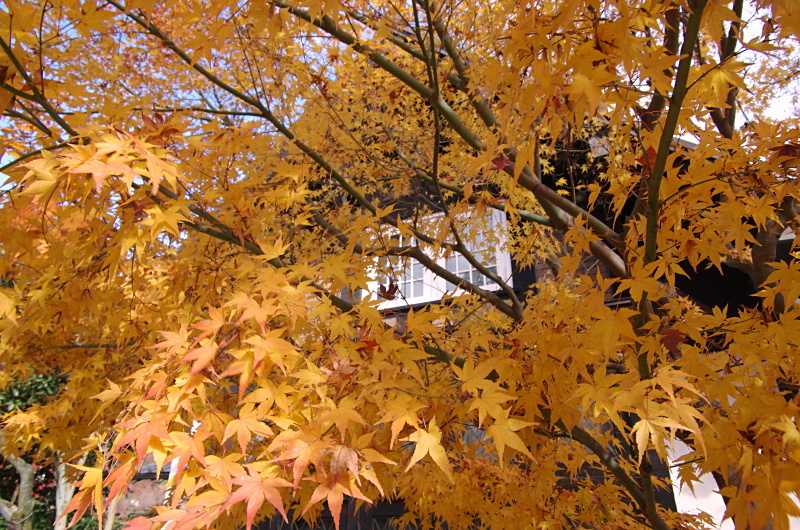 c0382798_07171041.jpg