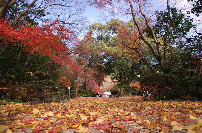 c0382798_07173413.jpg