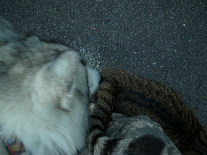 c0049299_21595708.jpg