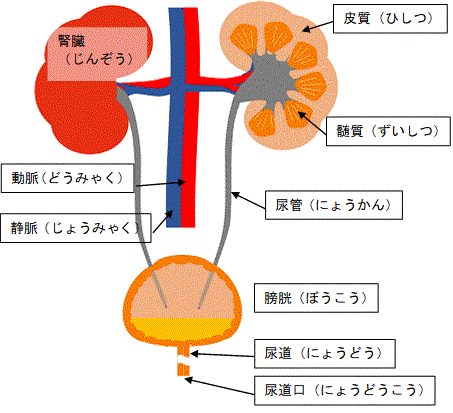 一般健康診断（１６）＠労働安全衛生法_d0364500_18170172.gif