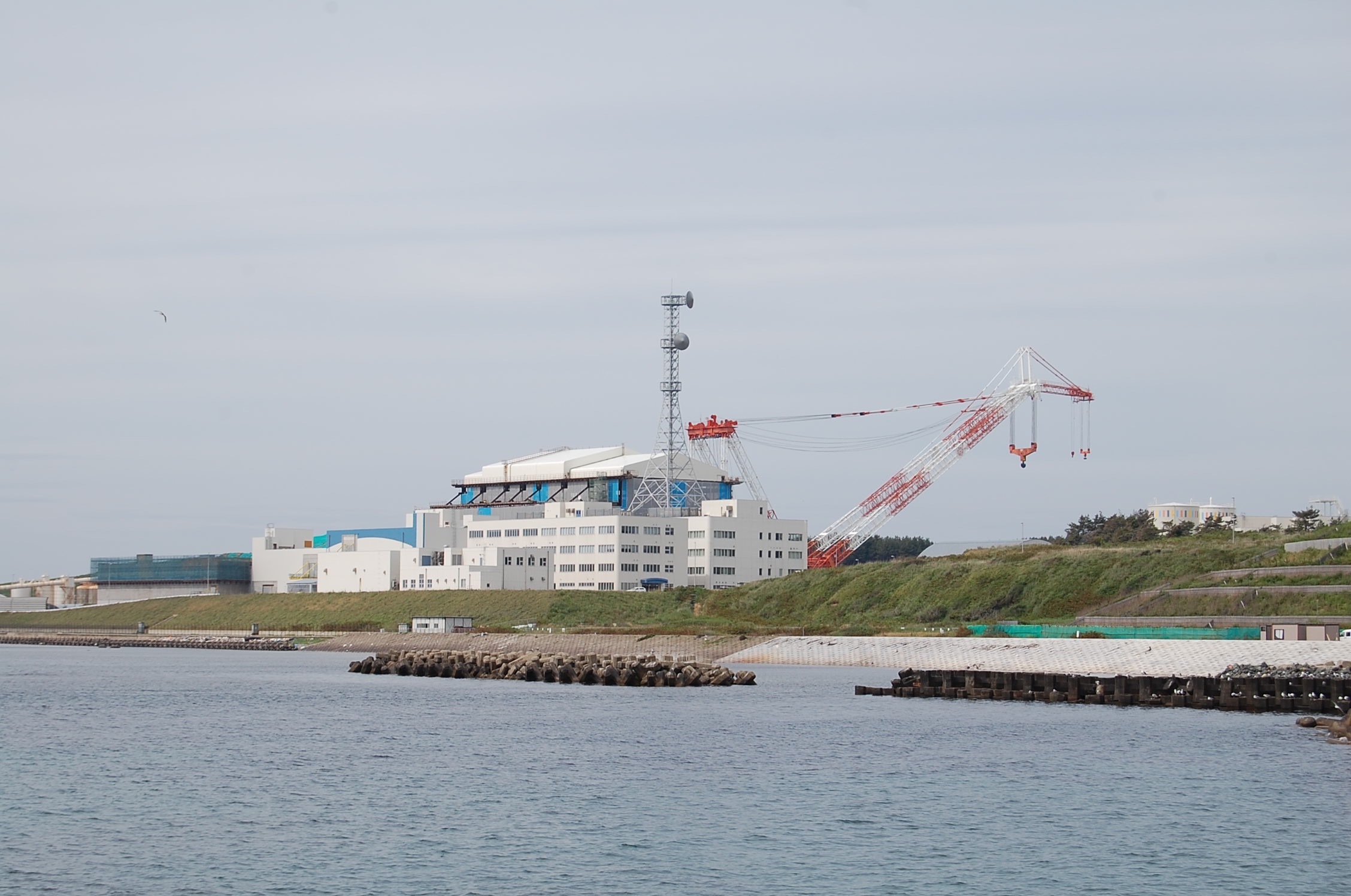 今日、バイバイ大間原発はこだてウオーク　です。_a0292602_15335771.jpg