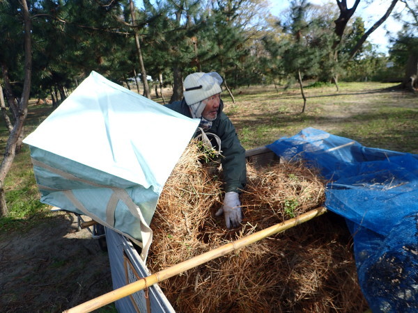 水軒の浜に松を植える会　松葉堆肥作り_c0367107_12460376.jpg