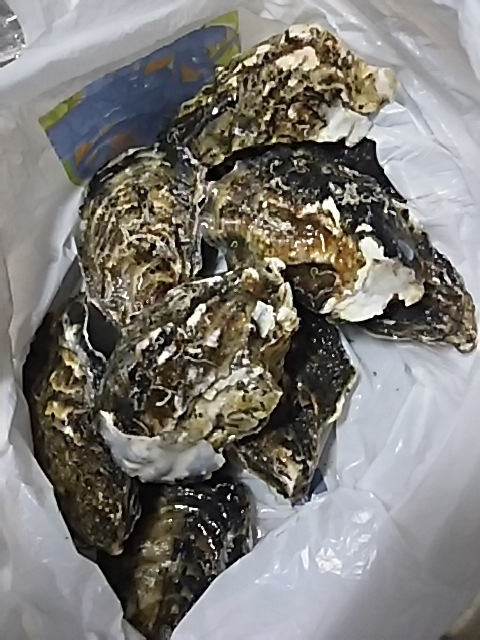 f0316507_20263901.jpg