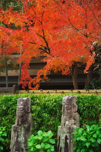 a0263109_19263867.jpg