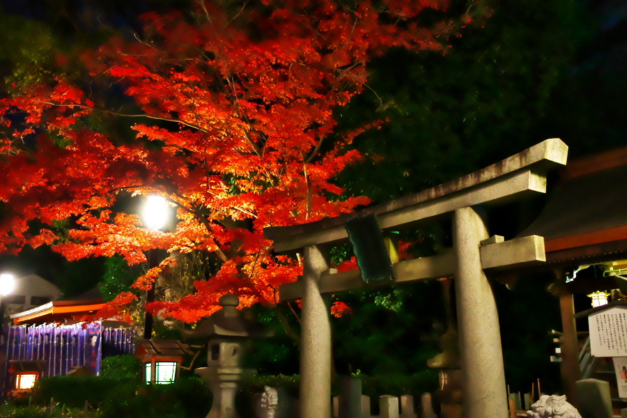 夜の京都　八坂神社から祇園を通って木屋町まで_a0263109_19563371.jpg